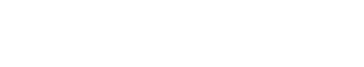TokModel